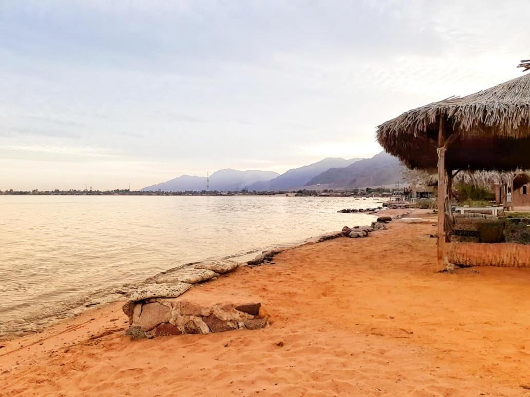 Sababa Beach Camp Bed and Breakfast Nuweiba` Buitenkant foto